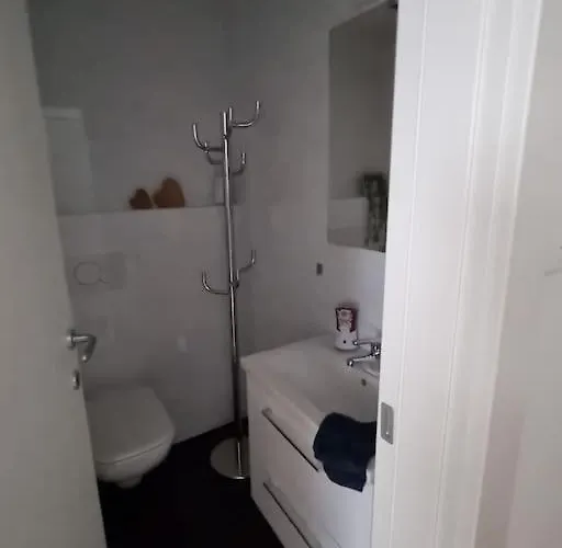 Schoene Neue 2,5 In Apartman Savognin